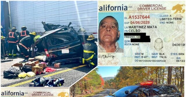 Redadas a nivel nacional atrapan a 250 conductores de camiones extranjeros con CDL: el DHS advierte que la explotación de los carteles amenaza la seguridad nacional